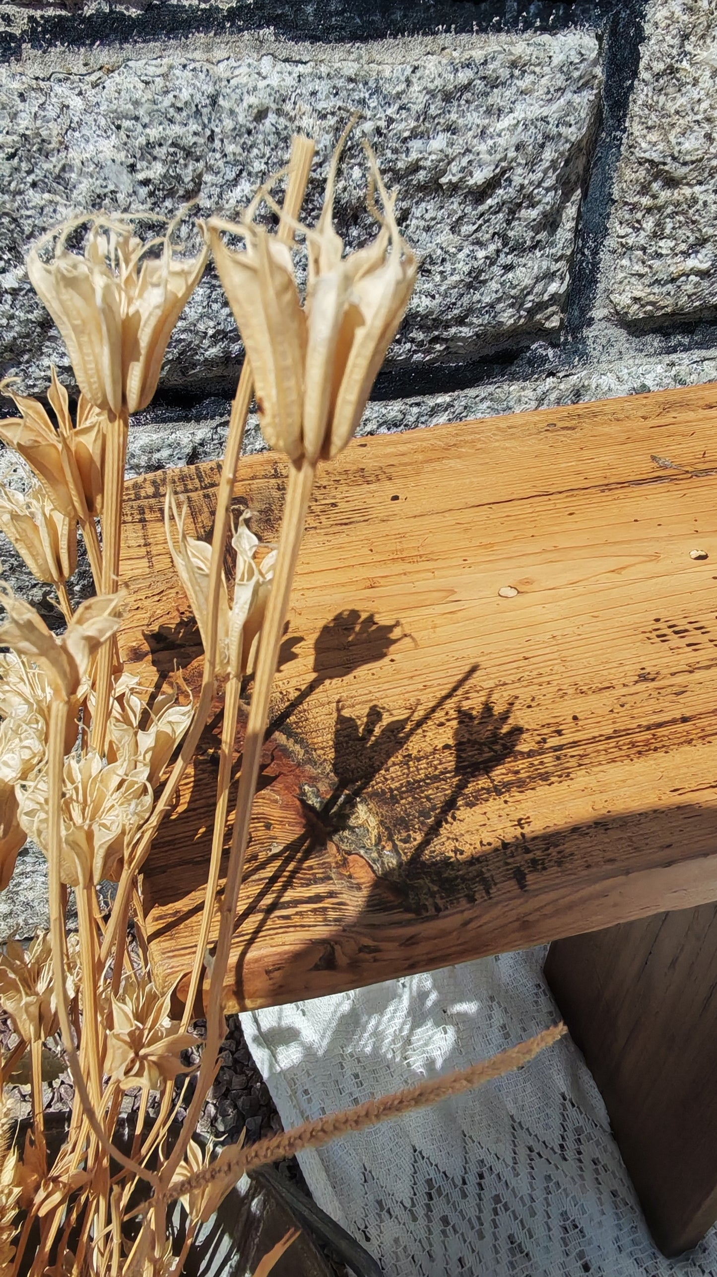 Le Banc Nicolas