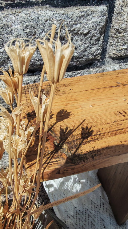 Le Banc Nicolas